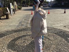 -大理洱源西湖景区