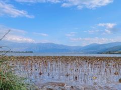 -西昌邛海湿地