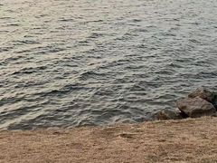 -丁香湖公园