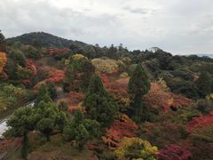 -有栖山 清光院 清水寺