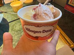 -牛New寿喜烧(金鹰世界店)