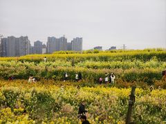 -三圣花乡旅游区