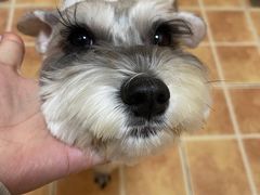 -瑞鹏宠物医院·超声·骨科·奇麟分院(蜀都万达店)