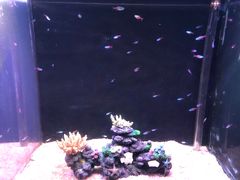 -常州海昌海洋探索馆
