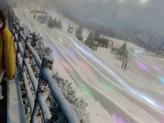 -世界之窗阿尔卑斯冰雪世界
