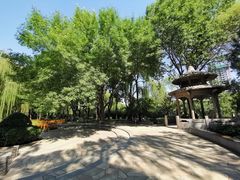 -玲珑塔公园
