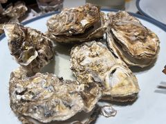 -杨氏青龙虾·羊蝎子(托乐嘉店)