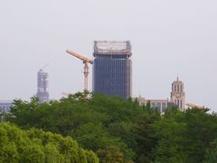 -上海吴淞炮台湾国家湿地公园