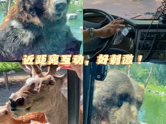 -北京野生动物园
