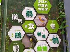 -芒洲湿地公园