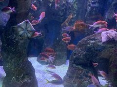 -海合安成都极地海洋公园