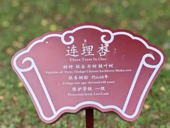 -苏州文庙(姑苏区)