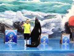 -多彩贵州城极地海洋世界