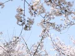 -龙美术馆(西岸馆)