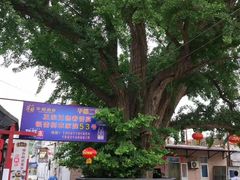 -康陵正德春饼宴26号