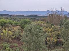 -密云玫瑰情园