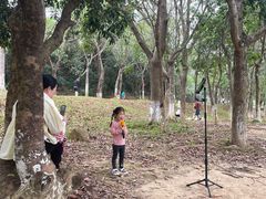 -凤岗南门山森林公园