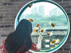 -珠海圆明新园