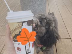 -茶颜悦色(花园道店)
