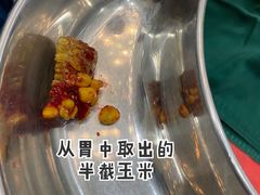 -佩兹宠物医院肿瘤专科·眼科·牙科(黄浦店)