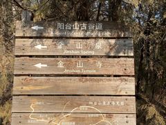 -阳台山自然风景区