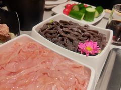 捞派鸭肠-海底捞火锅(老城根店)