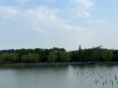 -大塘金香草谷