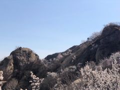 -北京凤凰岭