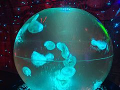 -波塞冬旅游度假区