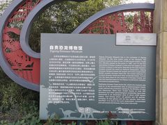 -自贡恐龙博物馆