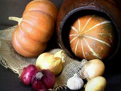 -金陵后厨·南京菜(新街口秣陵路店)