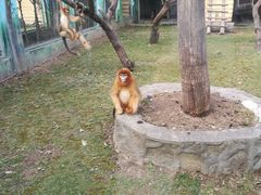 -西安秦岭野生动物园