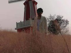 -羊亭河湿地公园