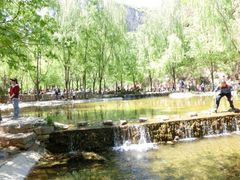 iphone_upload_pic-沕沕水生态风景区