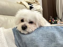 -联合动物医院(光谷诊疗中心)
