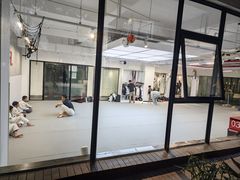 -EFL巴西柔术·综合格斗·泰拳·少儿体能训练(虹桥德必馆)