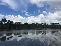 -东寨港红树林旅游区