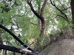 -青岛市江苏路基督教堂