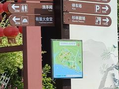 -合肥滨湖国家森林公园