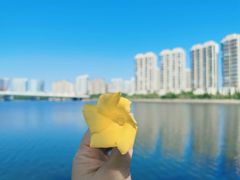 -五缘湾湿地公园
