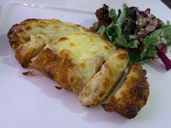 -百好乐宠物友好餐厅(朝外大街店)