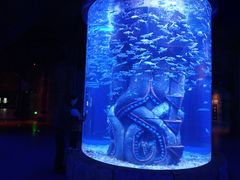 -波塞冬旅游度假区