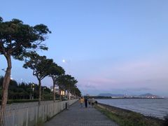 -宝安西湾红树林湿地公园