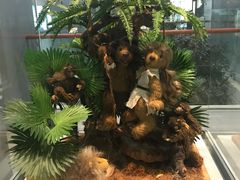 -济州岛泰迪熊博物馆