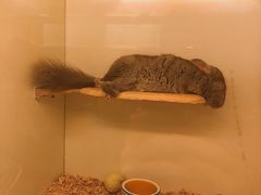 -龙猫仔乐园(惠福东路店)