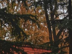 -八大关景区