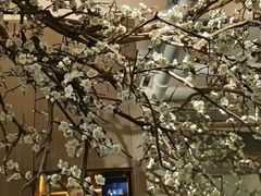 -梅花境(万科店)