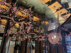 -老板恋上鱼(高新万达店)