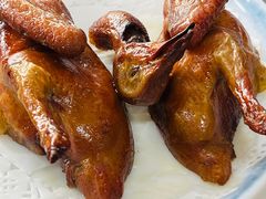 -鸽鸟轩(石岐店)