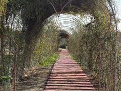 -嘉北郊野公园